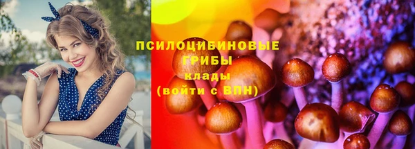 jwh Алексин