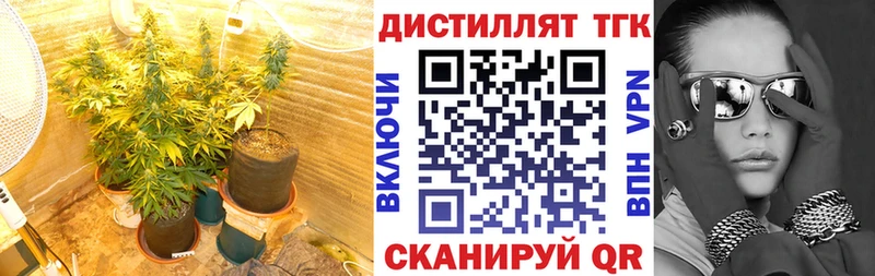 закладки  Заозёрный  Дистиллят ТГК жижа 