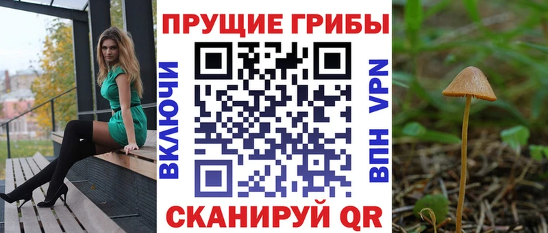 Галлюциногенные грибы Magic Shrooms  KRAKEN зеркало  Заозёрный  купить  